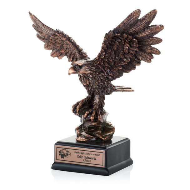 奉獻鷹獎 Dedication Eagle Award